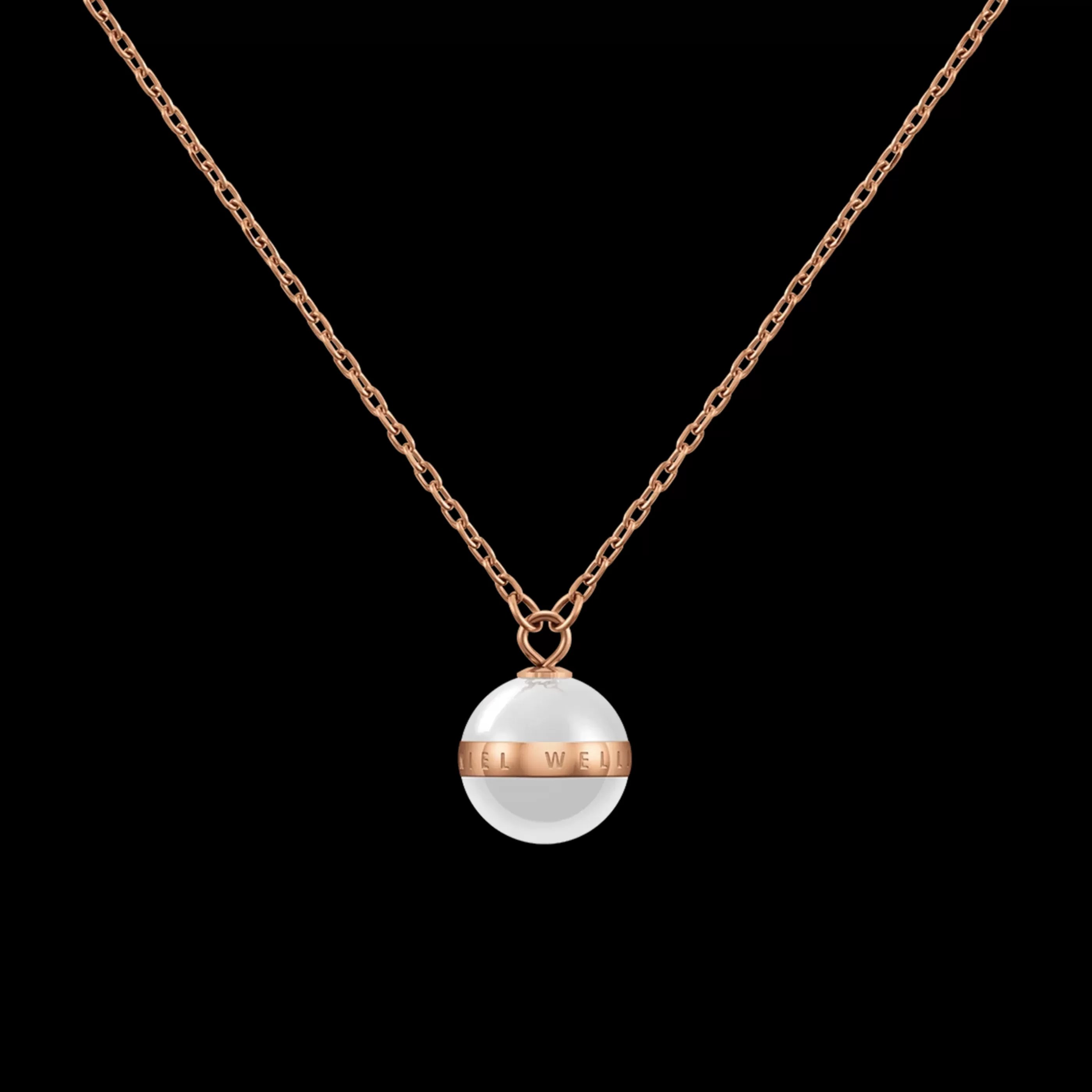 Daniel Wellington Colliers*Aspiration Necklace