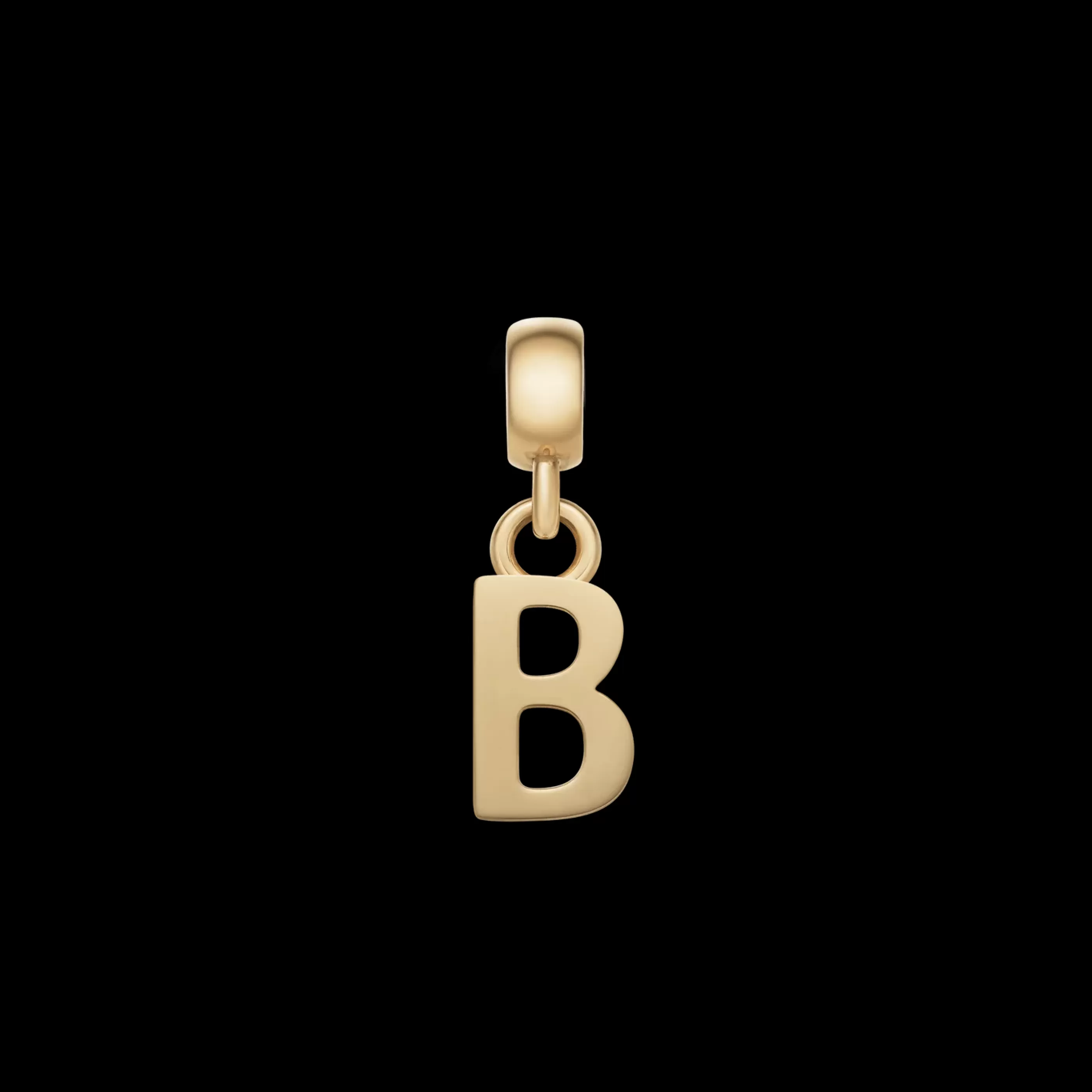 Daniel Wellington Charms*Letter Charm